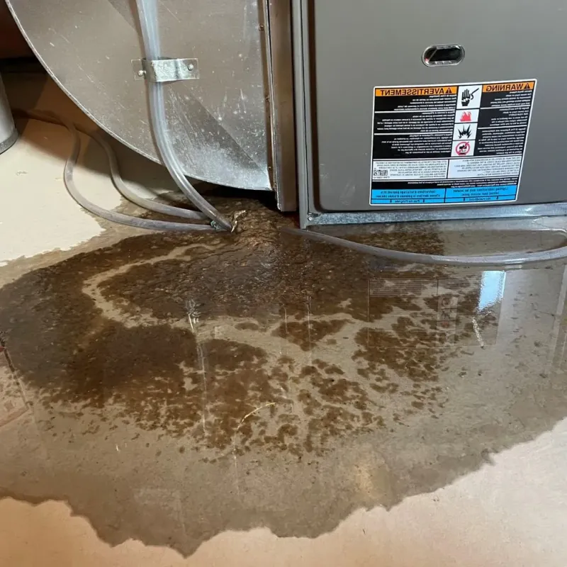 Pipe Burst and Leak Restoration in Ottawa, KS