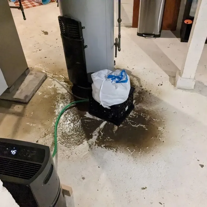 Sewage Backup Cleanup Service in Ottawa, KS
